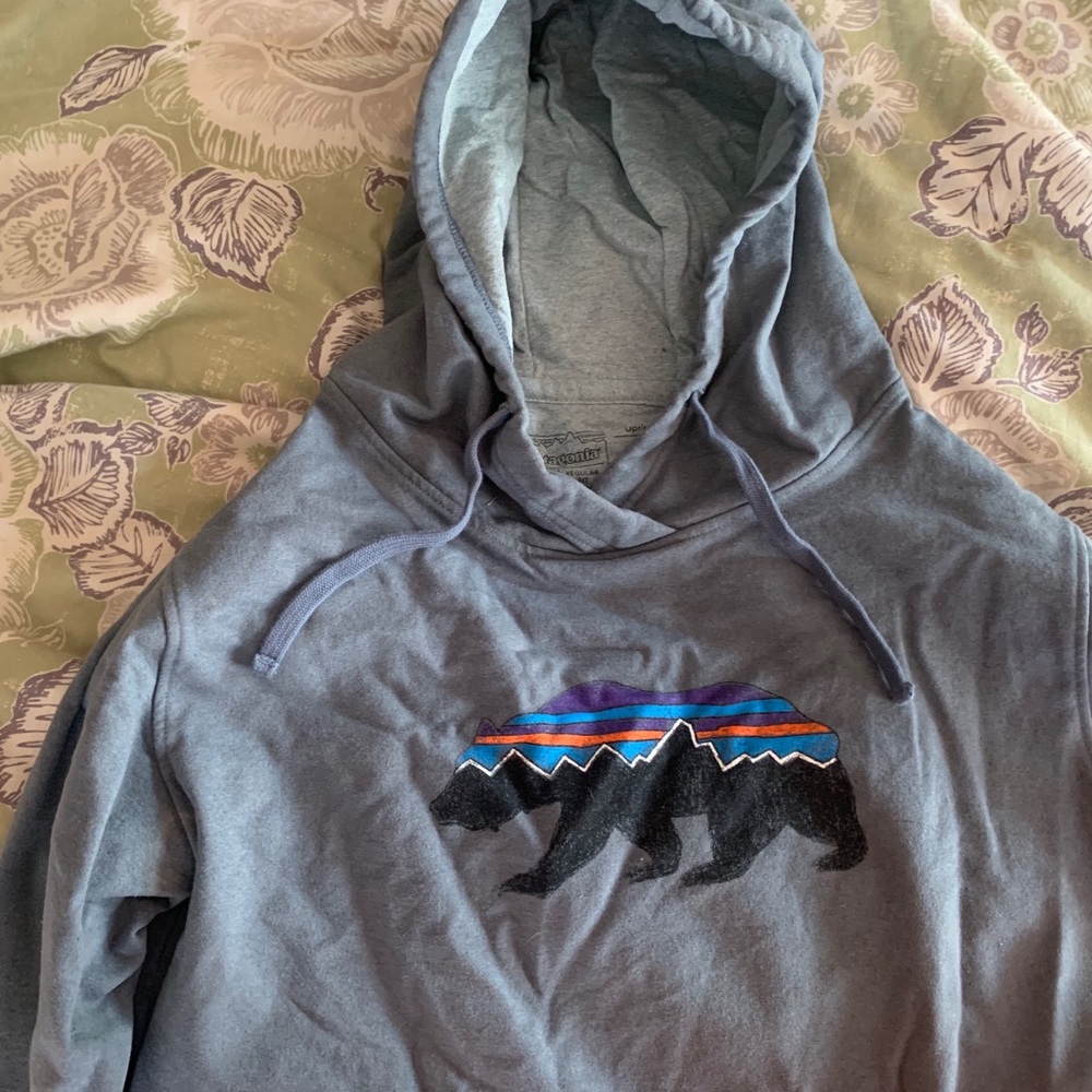 Patagonia bear hoodie with pockets